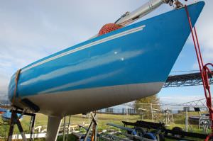 Harlequin 21